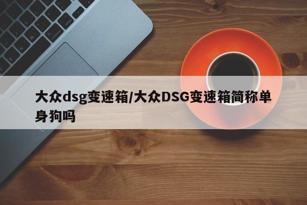 大众dsg变速箱/大众DSG变速箱简称单身狗吗