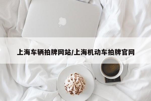 上海车辆拍牌网站/上海机动车拍牌官网