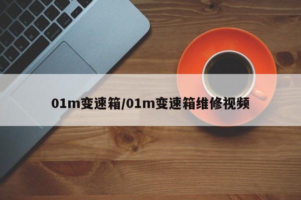 01m变速箱/01m变速箱维修视频