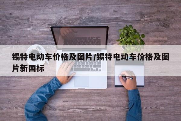 锡特电动车价格及图片/锡特电动车价格及图片新国标