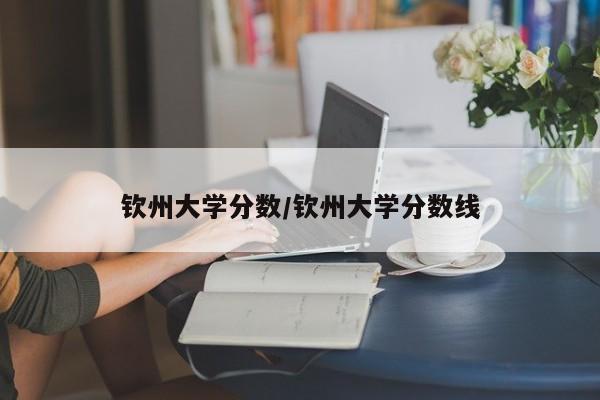 钦州大学分数/钦州大学分数线
