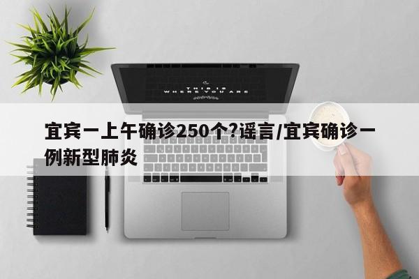 宜宾一上午确诊250个?谣言/宜宾确诊一例新型肺炎