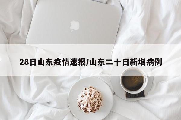 28日山东疫情速报/山东二十日新增病例