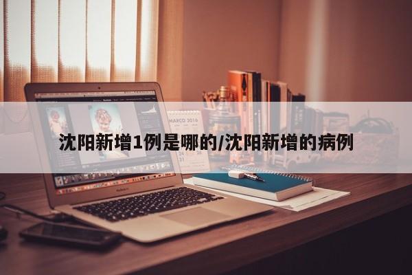 沈阳新增1例是哪的/沈阳新增的病例