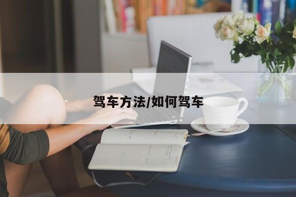 驾车方法/如何驾车