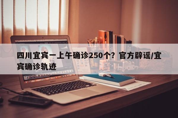 四川宜宾一上午确诊250个？官方辟谣/宜宾确诊轨迹