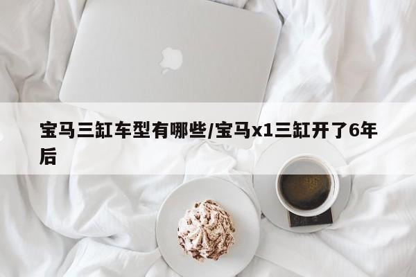宝马三缸车型有哪些/宝马x1三缸开了6年后