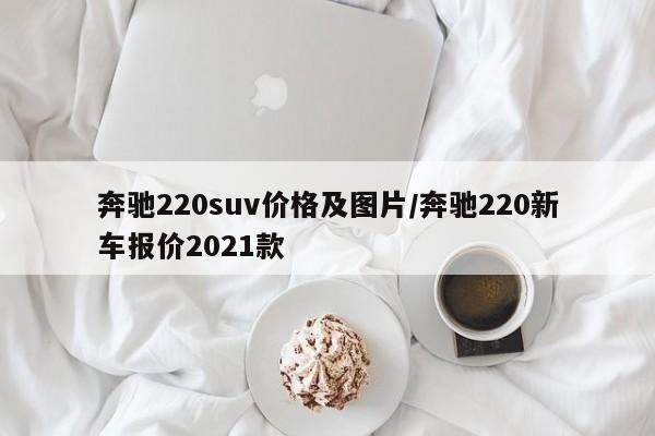 奔驰220suv价格及图片/奔驰220新车报价2021款