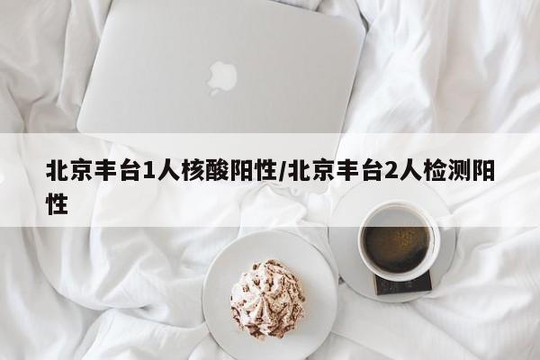 北京丰台1人核酸阳性/北京丰台2人检测阳性