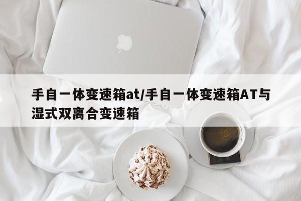 手自一体变速箱at/手自一体变速箱AT与湿式双离合变速箱