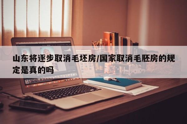 山东将逐步取消毛坯房/国家取消毛胚房的规定是真的吗