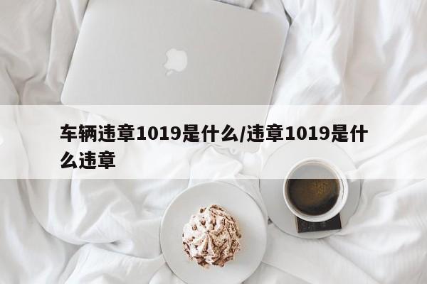 车辆违章1019是什么/违章1019是什么违章