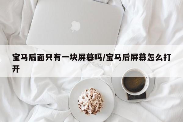 宝马后面只有一块屏幕吗/宝马后屏幕怎么打开