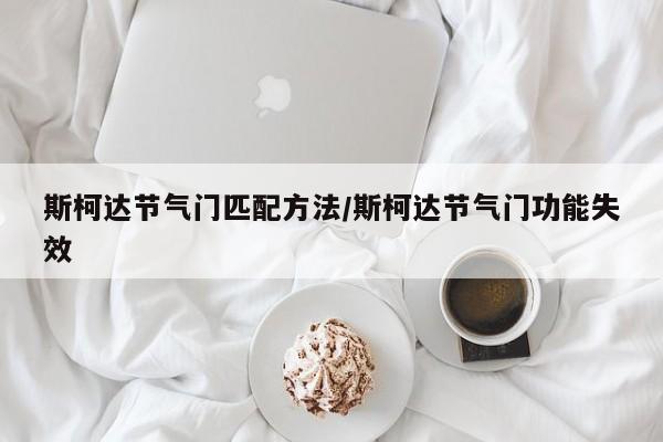斯柯达节气门匹配方法/斯柯达节气门功能失效