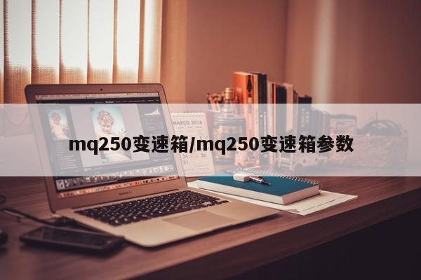 mq250变速箱/mq250变速箱参数